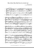 Mai, lieber Mai from Album for the Young, Opus 68