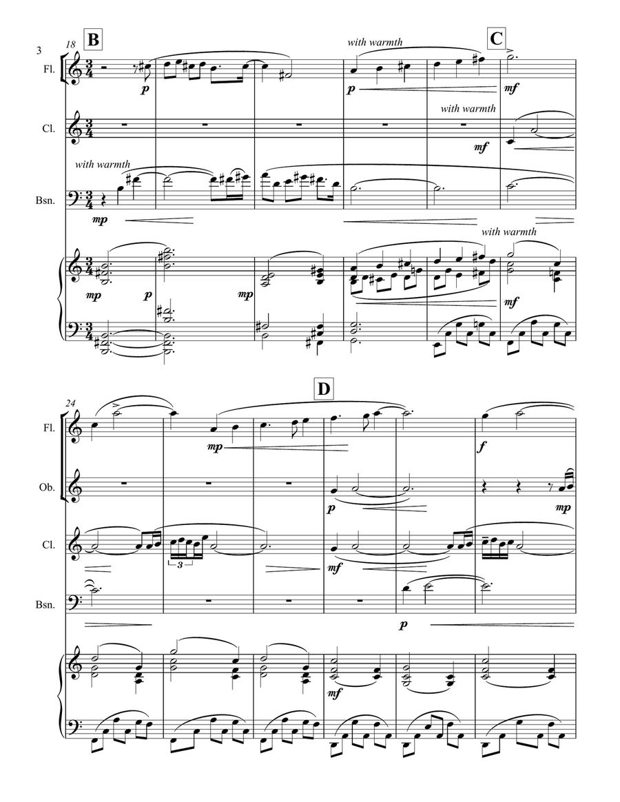 Anam Cara Chamber Music scores gallery preview page 4