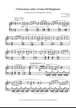 4 Variations on a Theme from 'El Güegüense