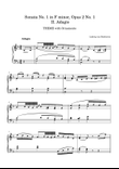 Sonata No.1 in F minor, Opus 2 No.1 - II Adagio (Theme with Ornaments)