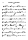 Orchestral Experiment