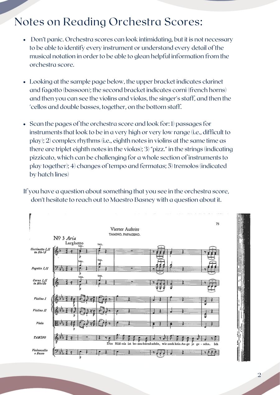 My Darling Jim (Downloadable Aria Companion Guide - 9-Instrument Version) Voice Solo scores gallery preview page 3