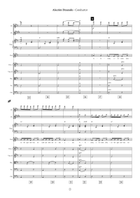 Alecrim Dourado Chamber Orchestra scores gallery preview page 3
