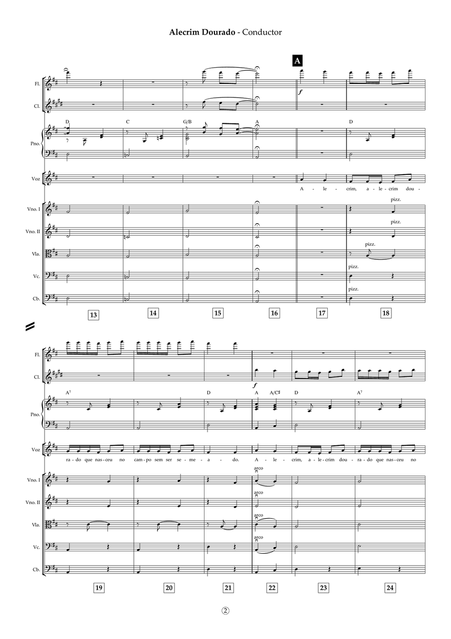 Alecrim Dourado Chamber Orchestra - Digital Sheet Music page 3