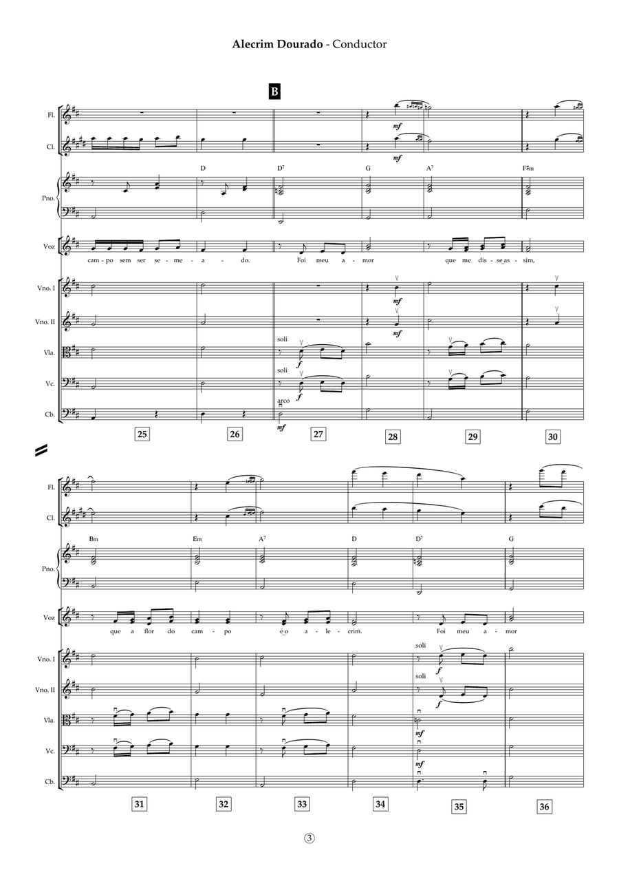 Alecrim Dourado Chamber Orchestra - Digital Sheet Music page 4