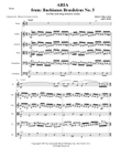 Bachiana Brasileira N° 5 para flauta y orquesta de cuerdas