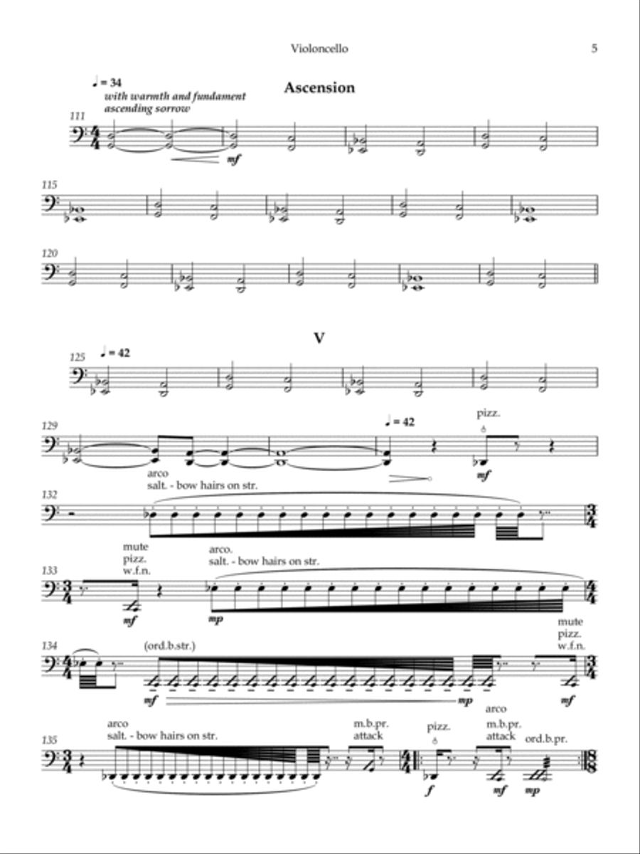 Rituals - Violoncello Rituals - Violoncello String Quartet scores gallery preview page 5