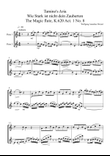 Tamino's Aria from The Magic Flute