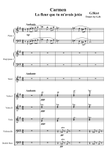 Carmen - La fleur que tu m-avais jetée (Tenor voice - chamber orchestra)