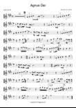 Agnus Dei / King Of Kings