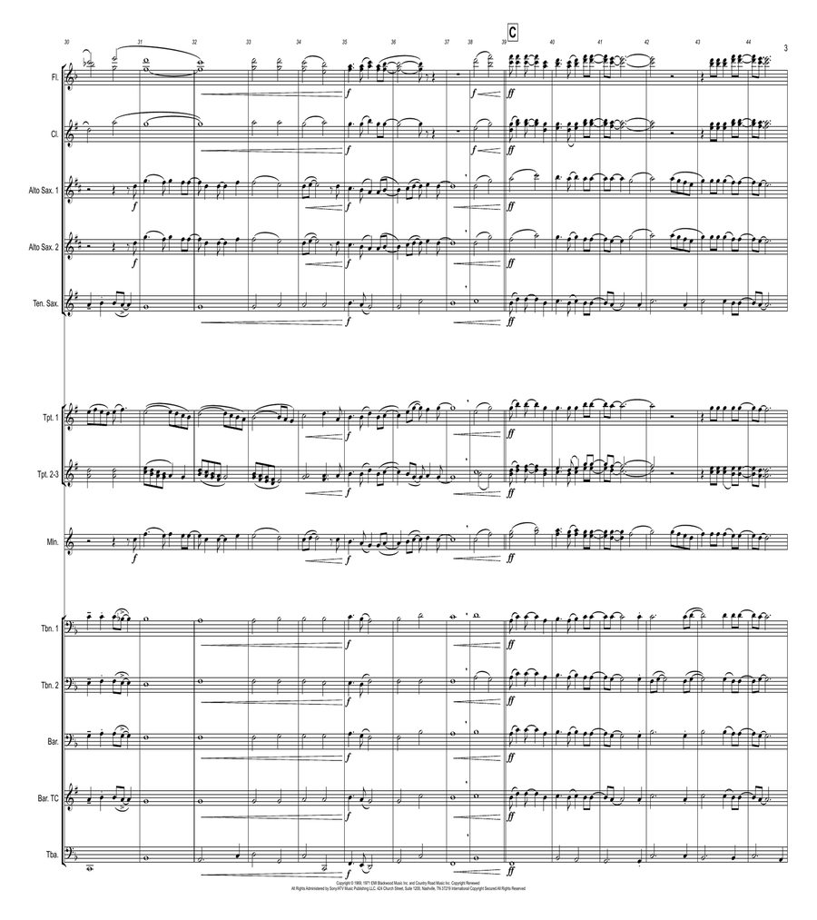 Carolina In My Mind Marching Band scores gallery preview page 3