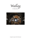 Wallog