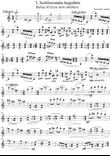 Sonata for Solo Violin No. 1
