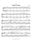 Allegro Contigo