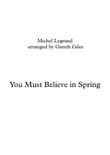 You Must Believe In Spring