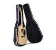ABS Hard Case Dreadnought Guitar