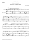 valse des choux (for vibraphone and marimba or piano)