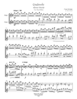 Gradevole for Two Flutes