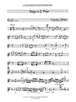 Adagio in G Minor - Trumpet 1 in C
