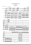 Concerto G-Dur RV 444 - nach dem Concerto Do maggiore per Flautino