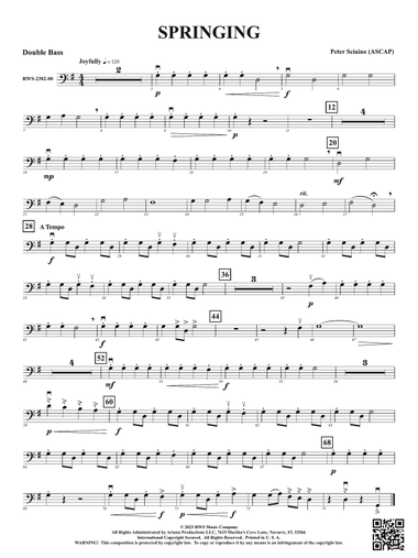 Springing: String Bass