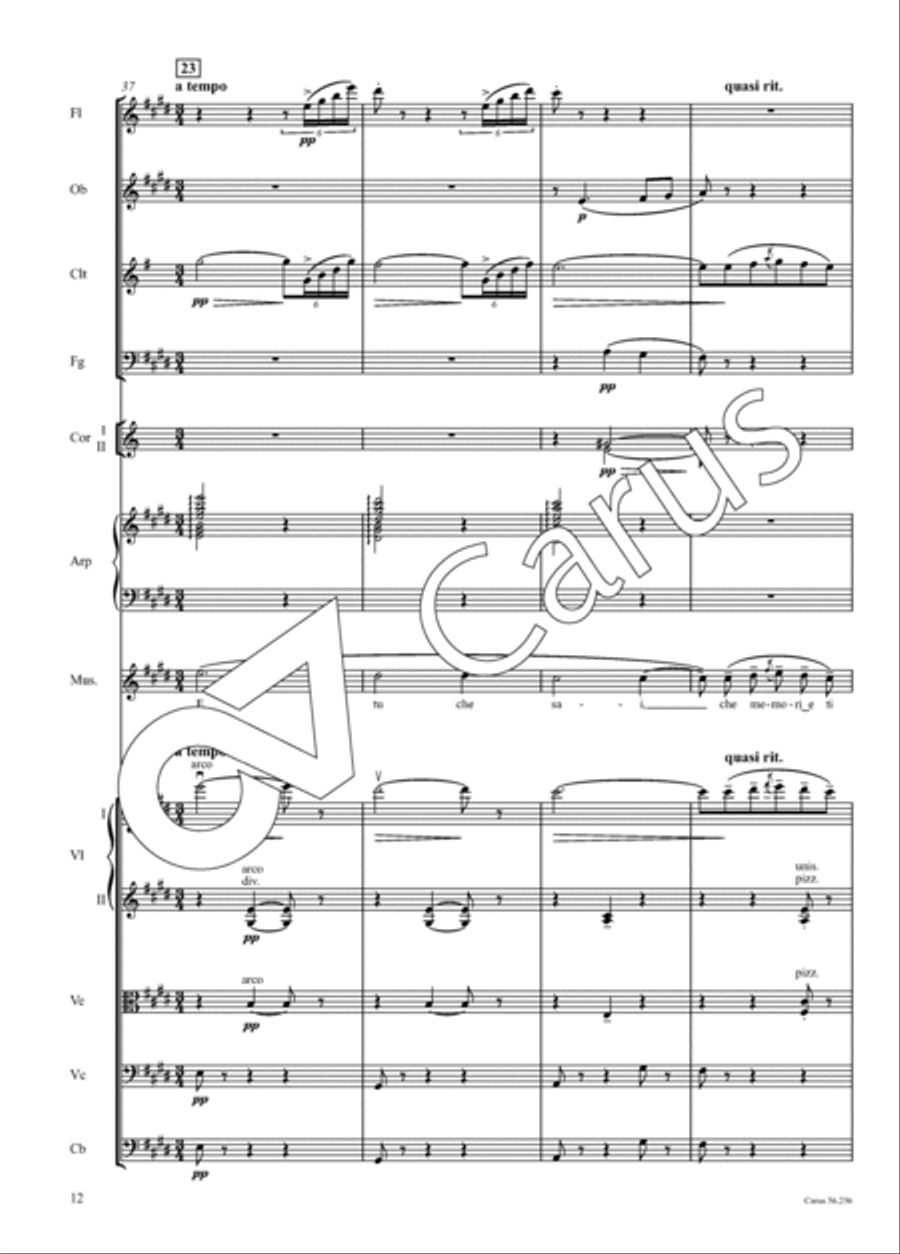 Quando me'n vo' Orchestra scores gallery preview page 13