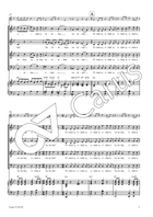 Vanitas 4-Part scores gallery preview page 4