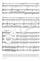 Vulnera 4-Part scores gallery preview page 4
