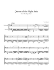 W. A. Mozart - Queen of the Night Aria (for Cello and Bassoon) mini preview