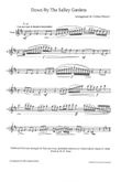 Down By the Salley Gardens (voice and flute)