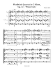 Wind Quartet No. 1 in G Minor - “Waterwalk”, Op. 12