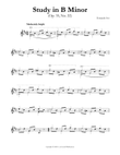 Study in B Minor (Op. 35, No. 22)