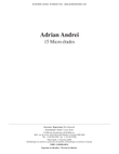 15 Micro-études