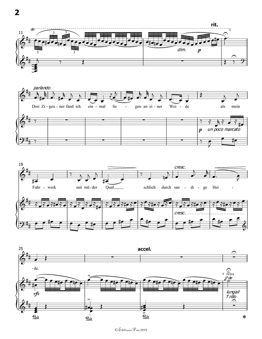 Die drei zigeuner, by Liszt, S.320, in b minor by Franz Liszt Piano, Vocal - Digital Sheet Music page 4
