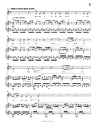 Die drei zigeuner, by Liszt, S.320, in b minor Piano, Vocal scores gallery preview page 5