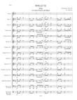 Pipelette (Piccolo solo with band acc.)