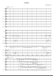 Conflict for Orchestra