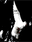 Wings Of A Dove