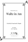 Waltz in Am (2024)