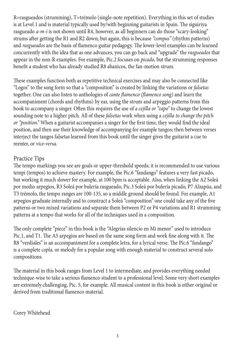 Formative Works for The Flamenco/Classical Guitar Tradition, Volumes 1 and 2 Acoustic Guitar scores gallery preview page 4