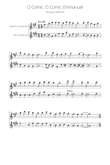 O Come, O Come, Emmanuel - Sax Duet SA