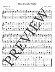 Blue Danube Waltz