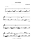Soul Dreams Piano Solo by Christopher Boscole