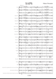 SAPS Original for Concert Band