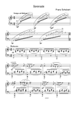 Serenade - Franz Schubert