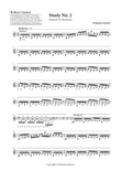 Study N. 2 - for Low C Bass Clarinet