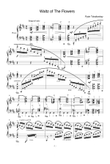 Waltz of The Flowers - Pyotr Tchaikovksy