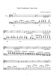 Pyotr Tchaikovsky - Swan Lake