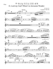 [Flute Part] How Great Thou Art for Chamber Orchestra and Soprano