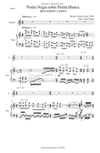 Piedra Negra Sobre Piedra Blanca, Op. 19 para soprano y piano